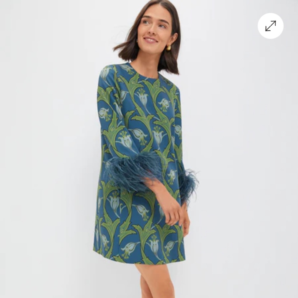 COPY - ISO Tuckernuck Blue and Green Patterned Dress with Feather Details